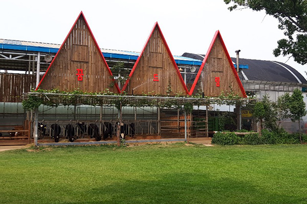 Grass Plaza